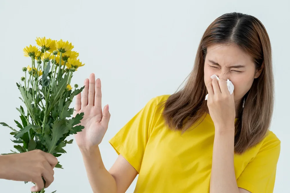 Viêm xoang mũi dị ứng - Hình 2 - Bệnh viện SANTE Bình Thạnh, TP.HCM